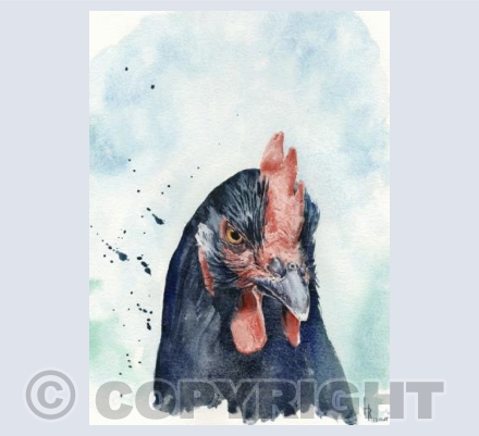 Cluck cluck