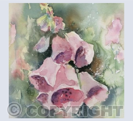 Foxglove