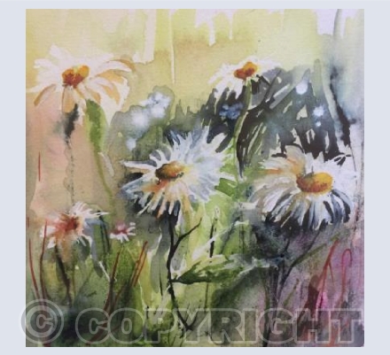 White Daisies