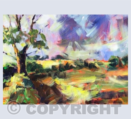 Summer Fields