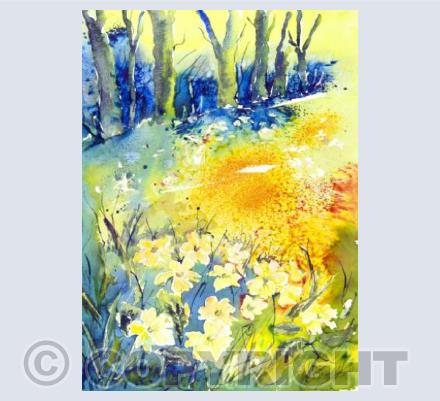 Woodland Walk