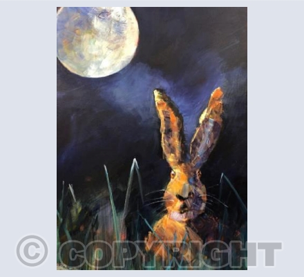 Hare in Moonlight