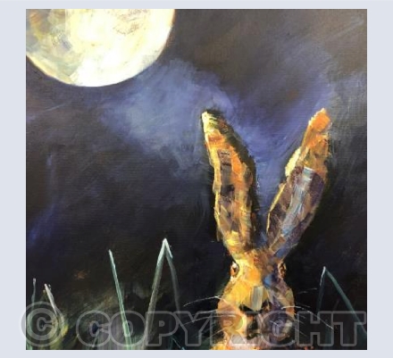 Hare in Moonlight