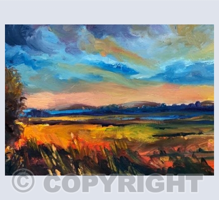 Sunset over Meadow