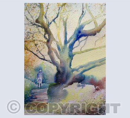 Sunday Stroll