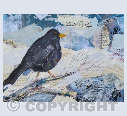 Blackbird