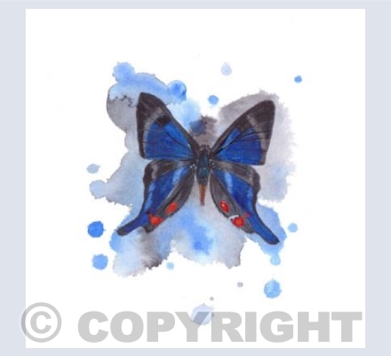 Blue Butterfly