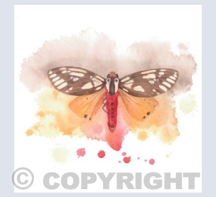 Red & Yellow Moth