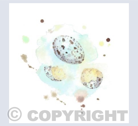 Spotty Eggs