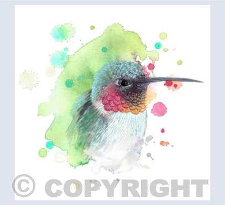 Hummingbird