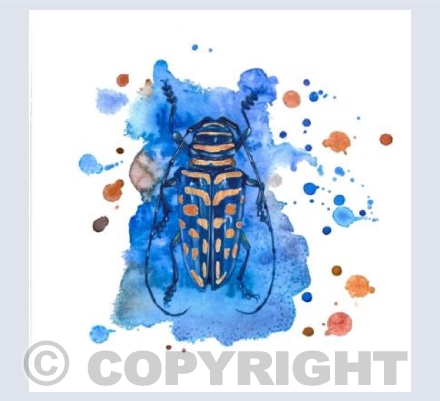 Blue Beetle