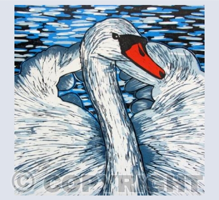 Swan