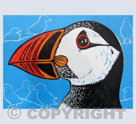 Puffin