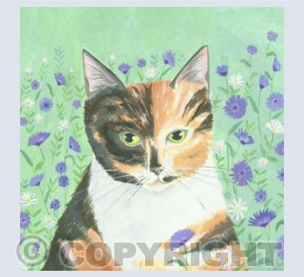 Calico in the garden
