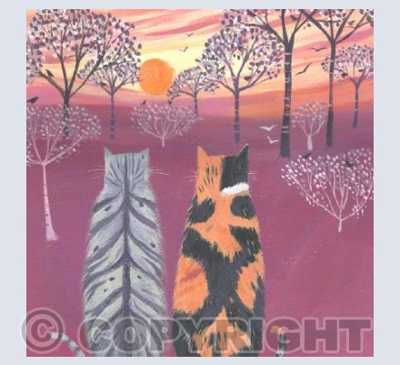 Birdwatching at Sunset