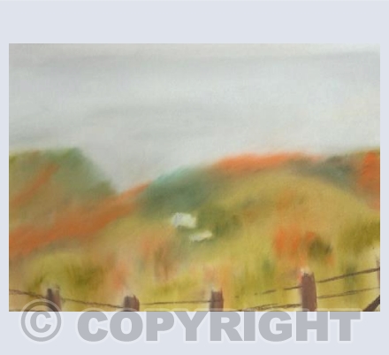 Sheep Grazing on a Waternish Croft