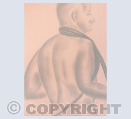 Rob, pastels, 3 (15)