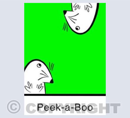 Peek a Boo