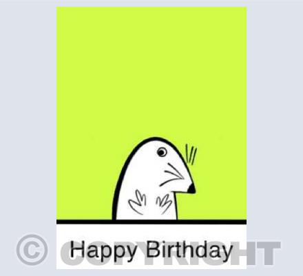 Birthday