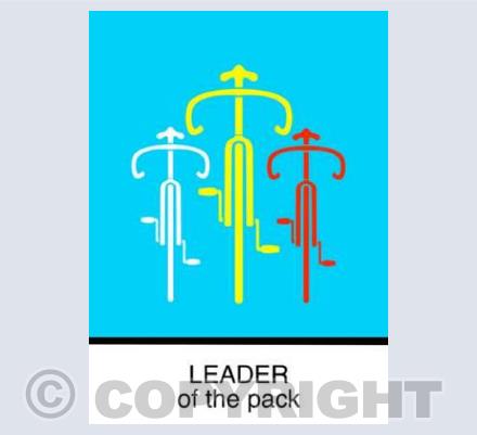 LEADER (blue)
