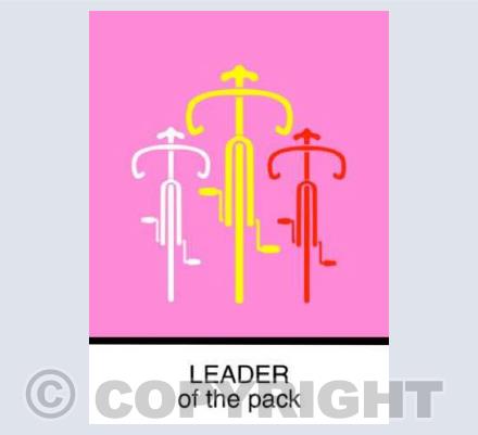LEADER (pink)
