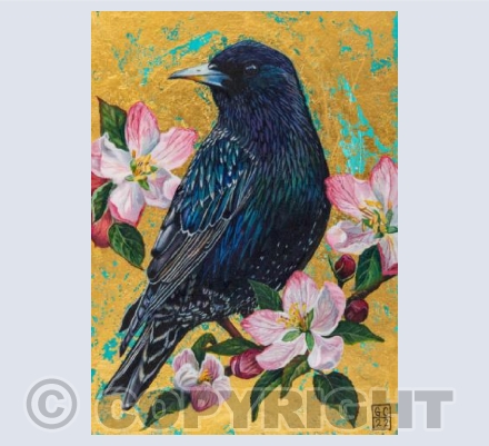 Starling &Apple Blossom