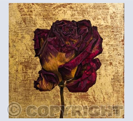 Rose 1