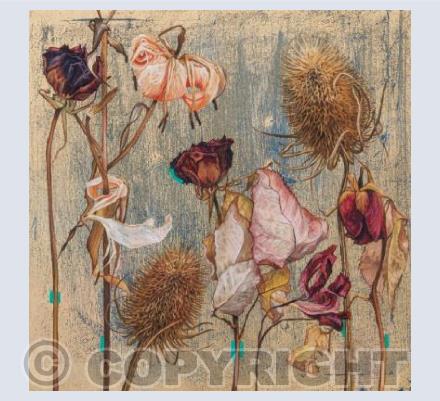 Teasel, Lily, lily, Rose