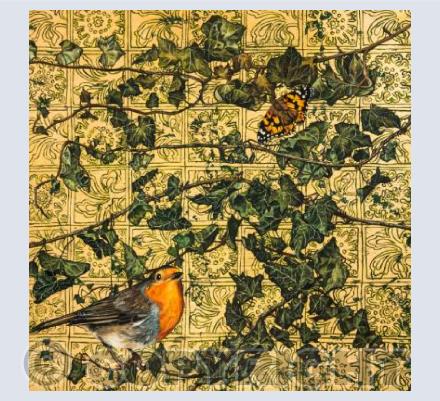 Robin and Painted Lady