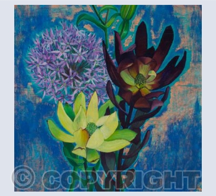 Allium