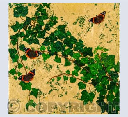 Ivy and Red Admirals