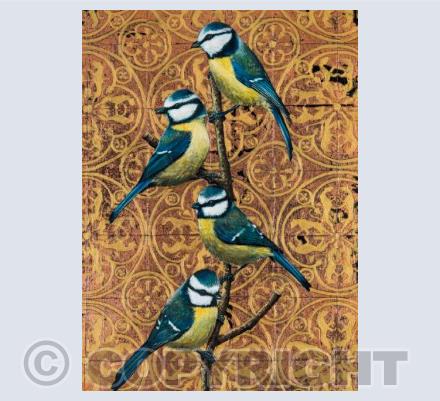 Blue Tits on Copper