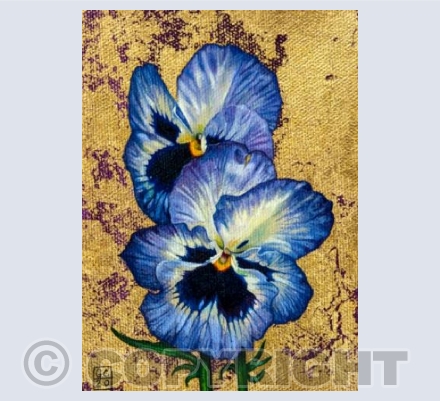 Pansies