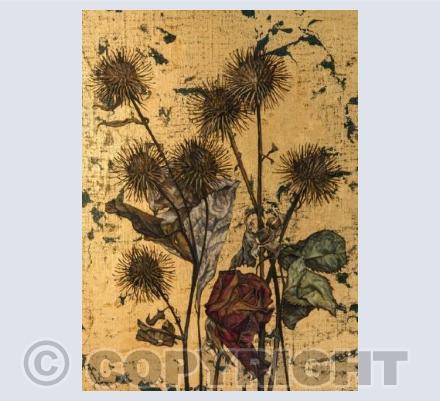 Burdock & Rose