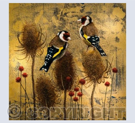 Goldfinch& Teasels 