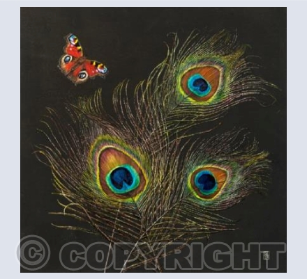 Peacocks