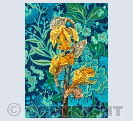 Daffodils