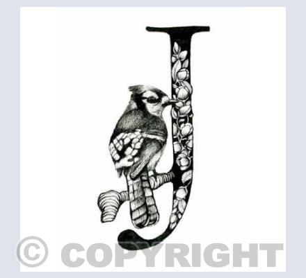 Alphabet Letters J
