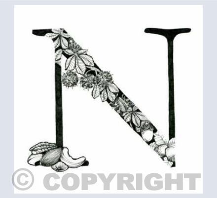 Alphabet Letters N