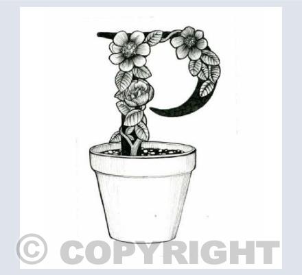 Alphabet Letters P