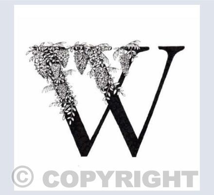 Alphabet Letters W
