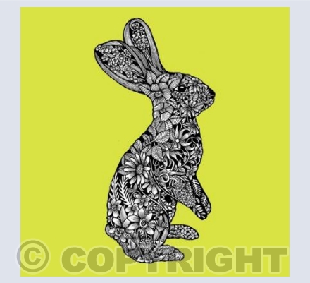 Illustrated Bunny