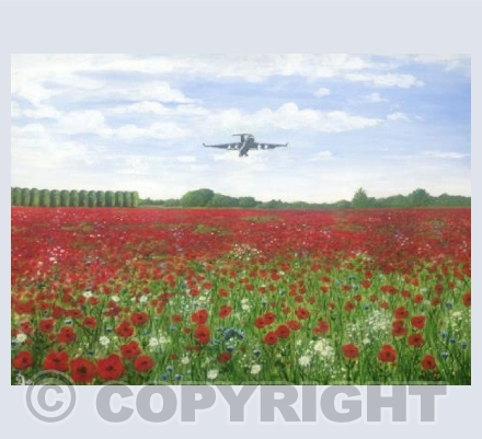 Jubilee Field Near Kencot DY