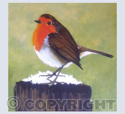 Robin (RM)