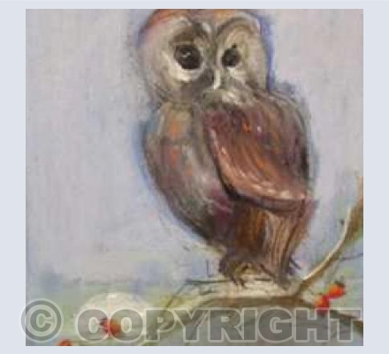 Little Owl (DJ)