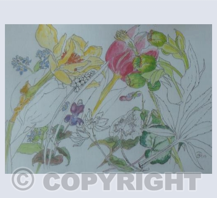 A Cotswold Cottage Garden (PS)