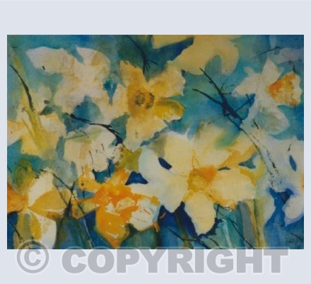 Daffodils (LW)