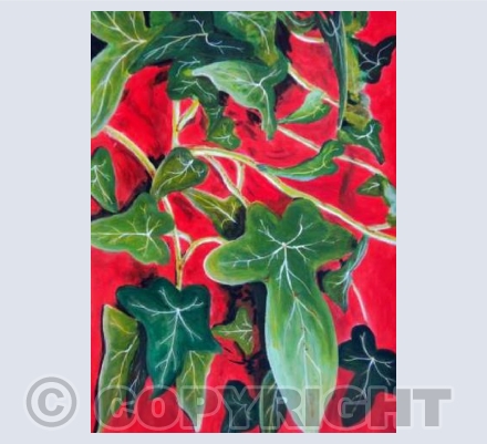 Ivy (RM)
