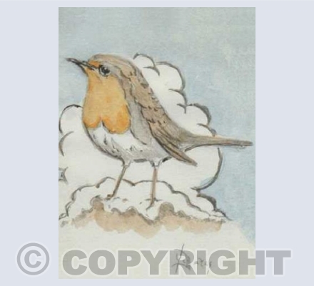 Christmas Robin (DY)