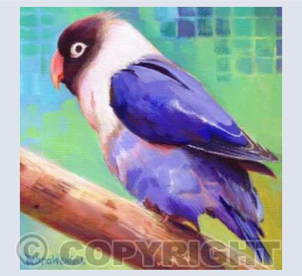 Lovejoy the Lovebird